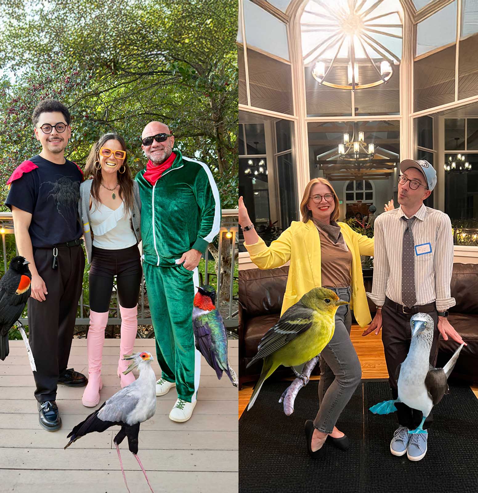 Birds of a Feather (and Fabulous Fashion) Flock Together