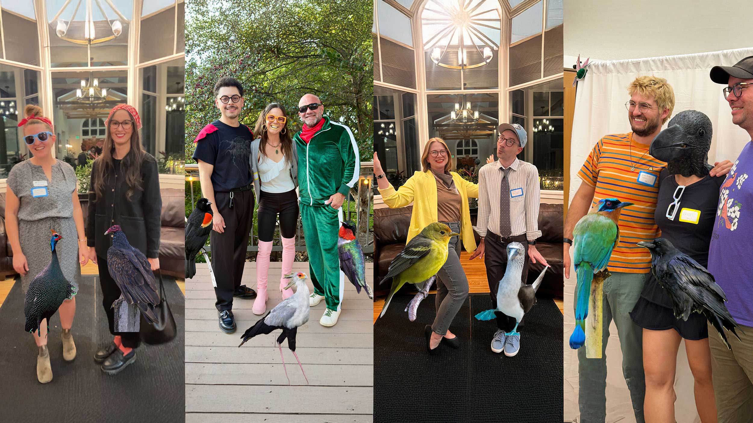 Birds of a Feather (and Fabulous Fashion) Flock Together