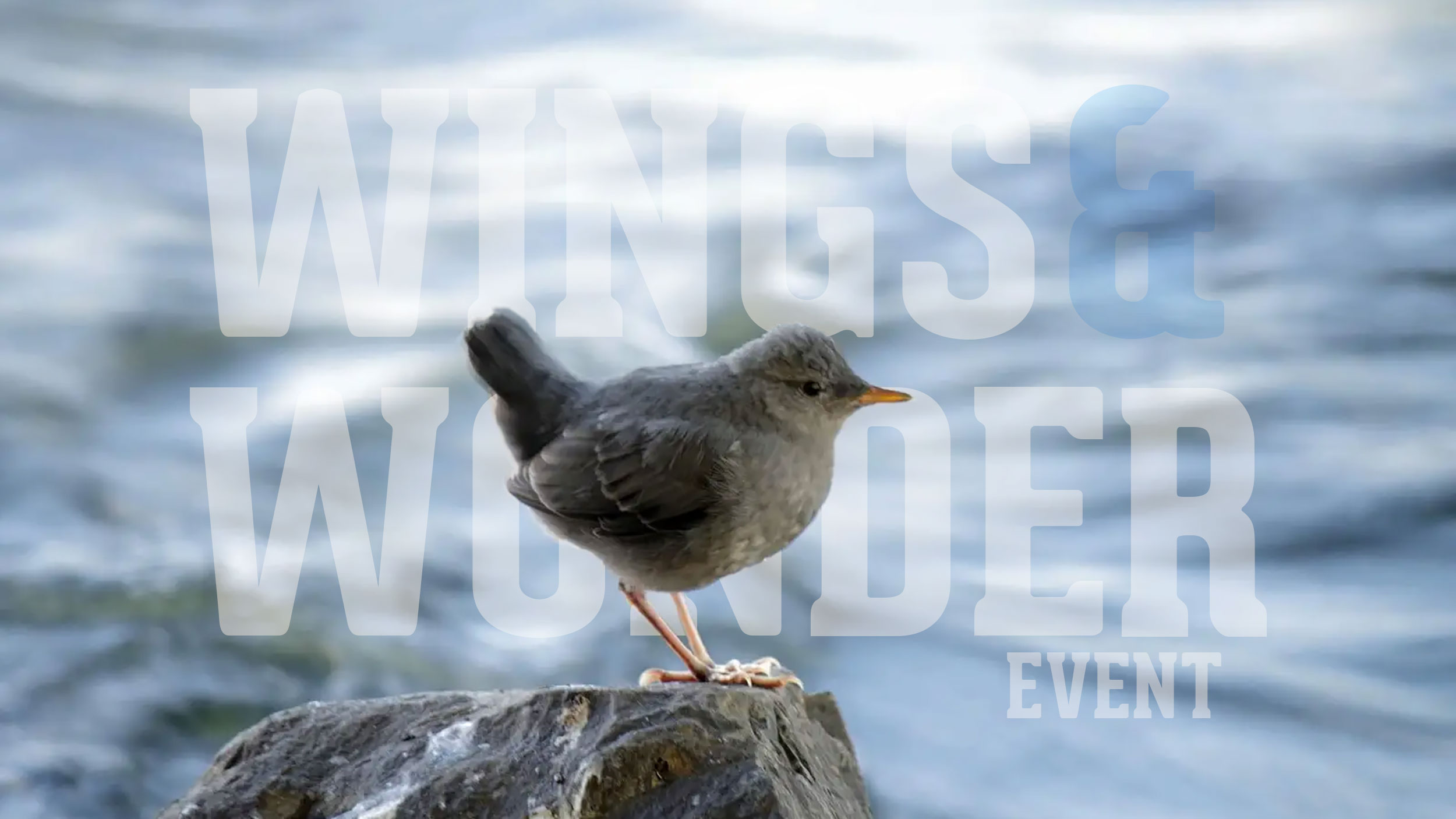 EVENT: Wings & Wonder - Celebrate the Magic of Winter!