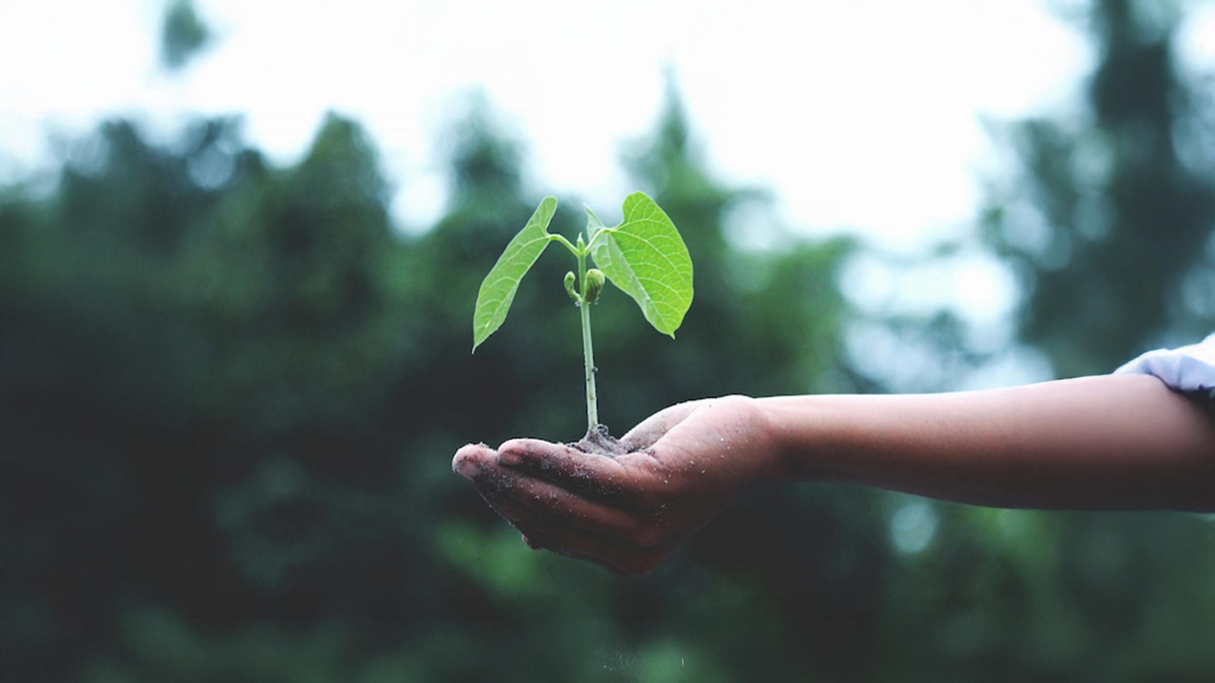 Returning to the Cycle of Life | How Composting is an Act of Advocacy