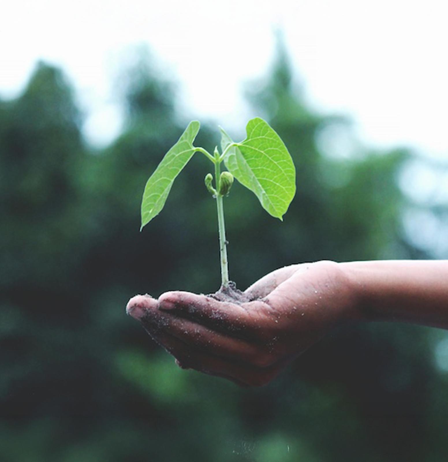 Returning to the Cycle of Life | How Composting is an Act of Advocacy