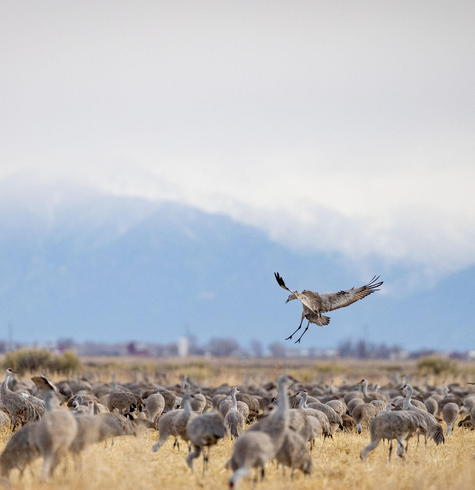 Night Flights: Why We Should Turn Out The Lights