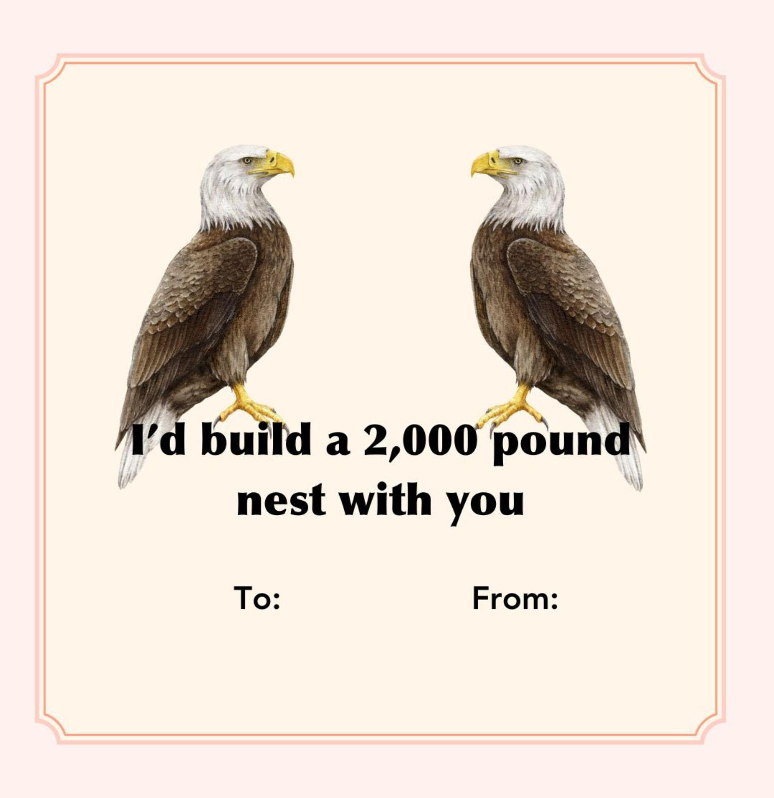 Avian Valentines