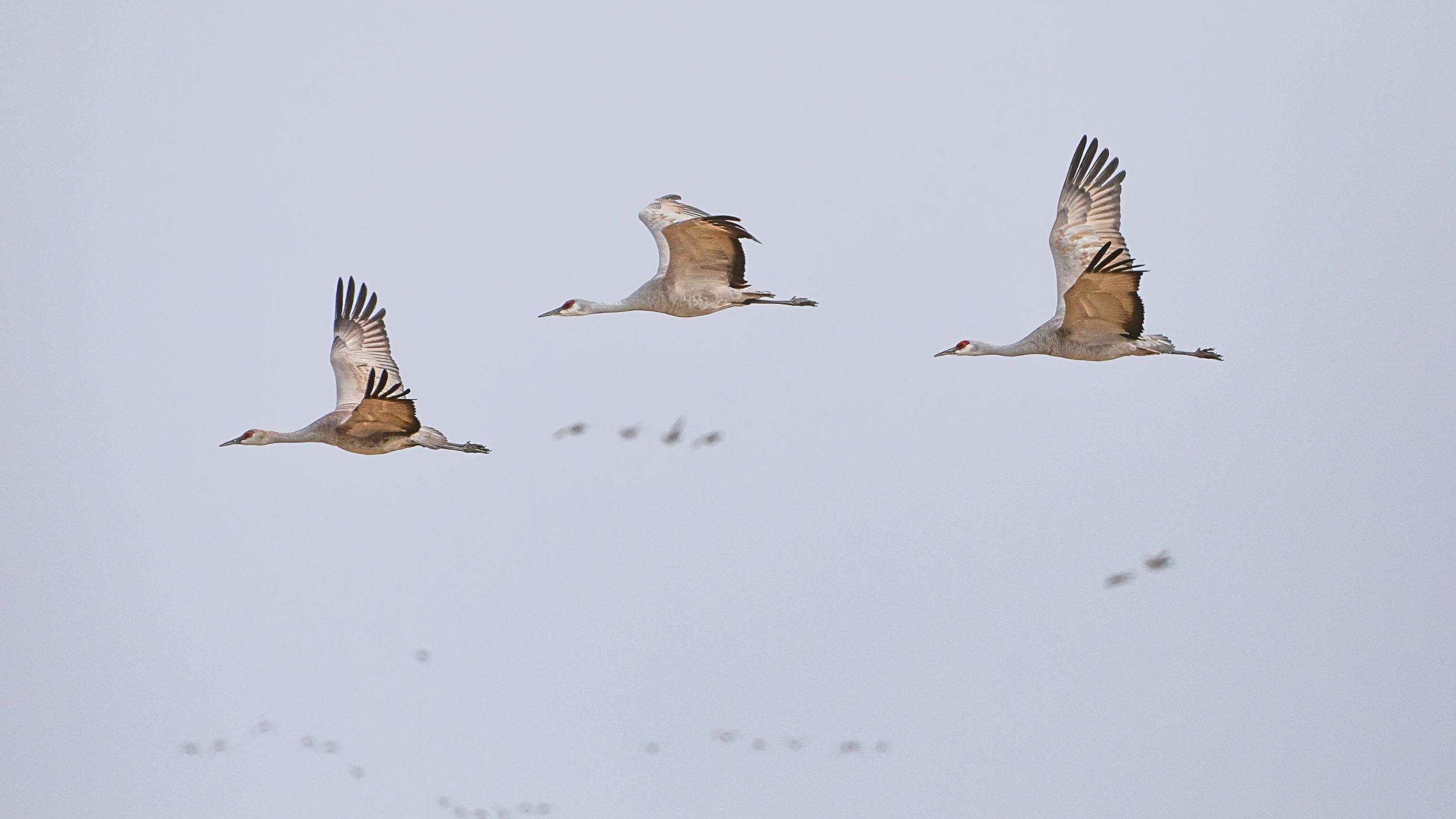 Night Flights: Why We Should Turn Out The Lights