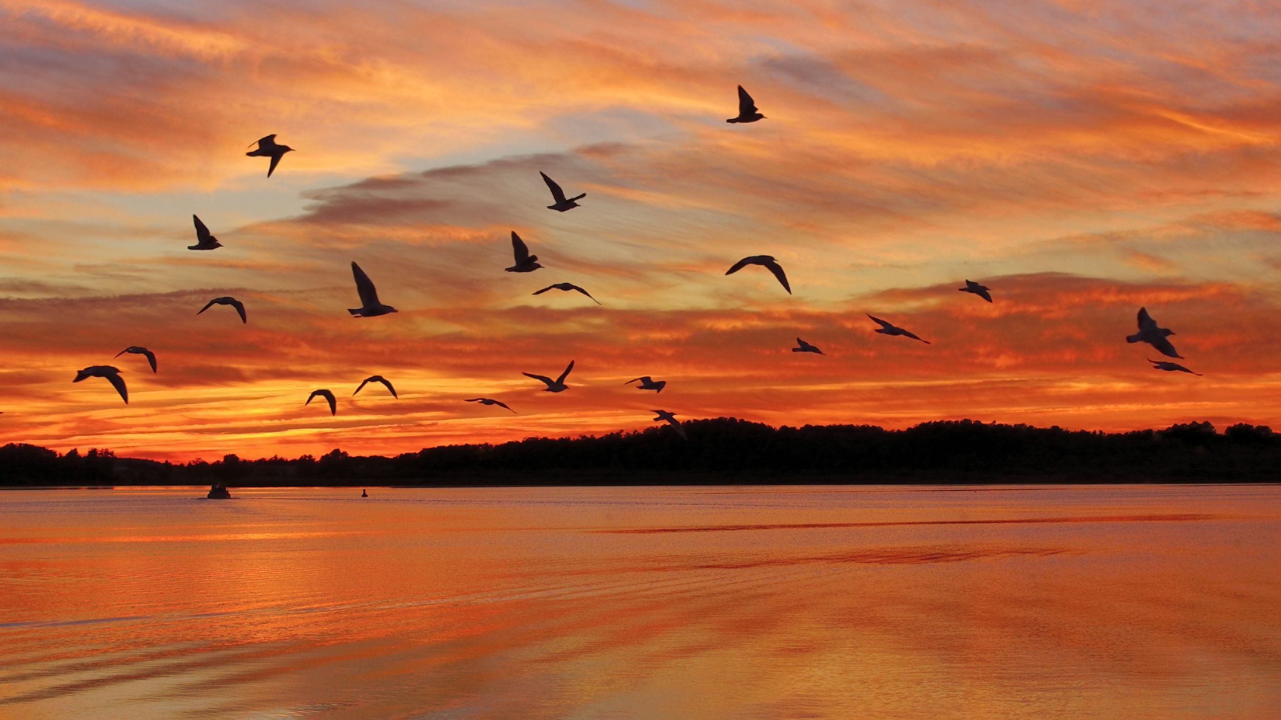 Eco-Grief As A Portal to Possibility