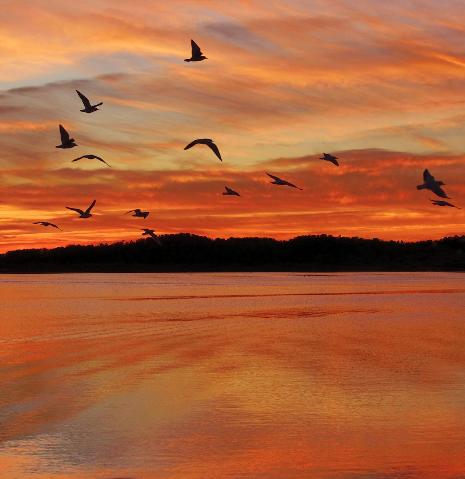 Eco-Grief As A Portal to Possibility