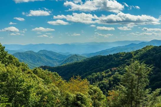 The Smoky Mountains, TN real estate market