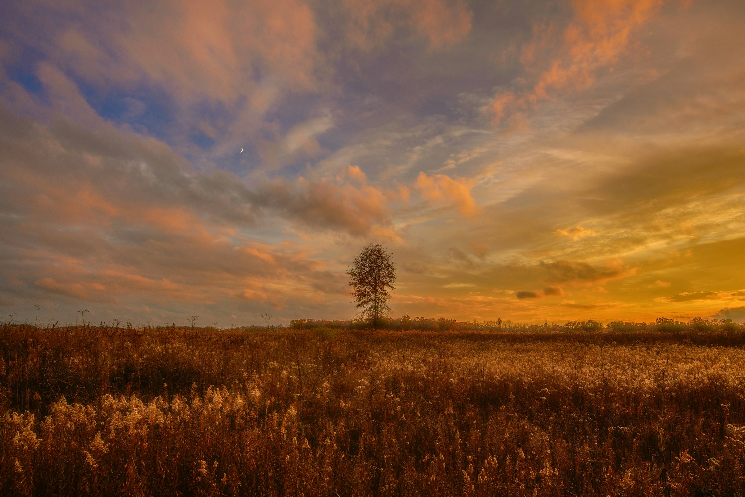 Golden sunset over the fields of Springfield Bog, Ohio