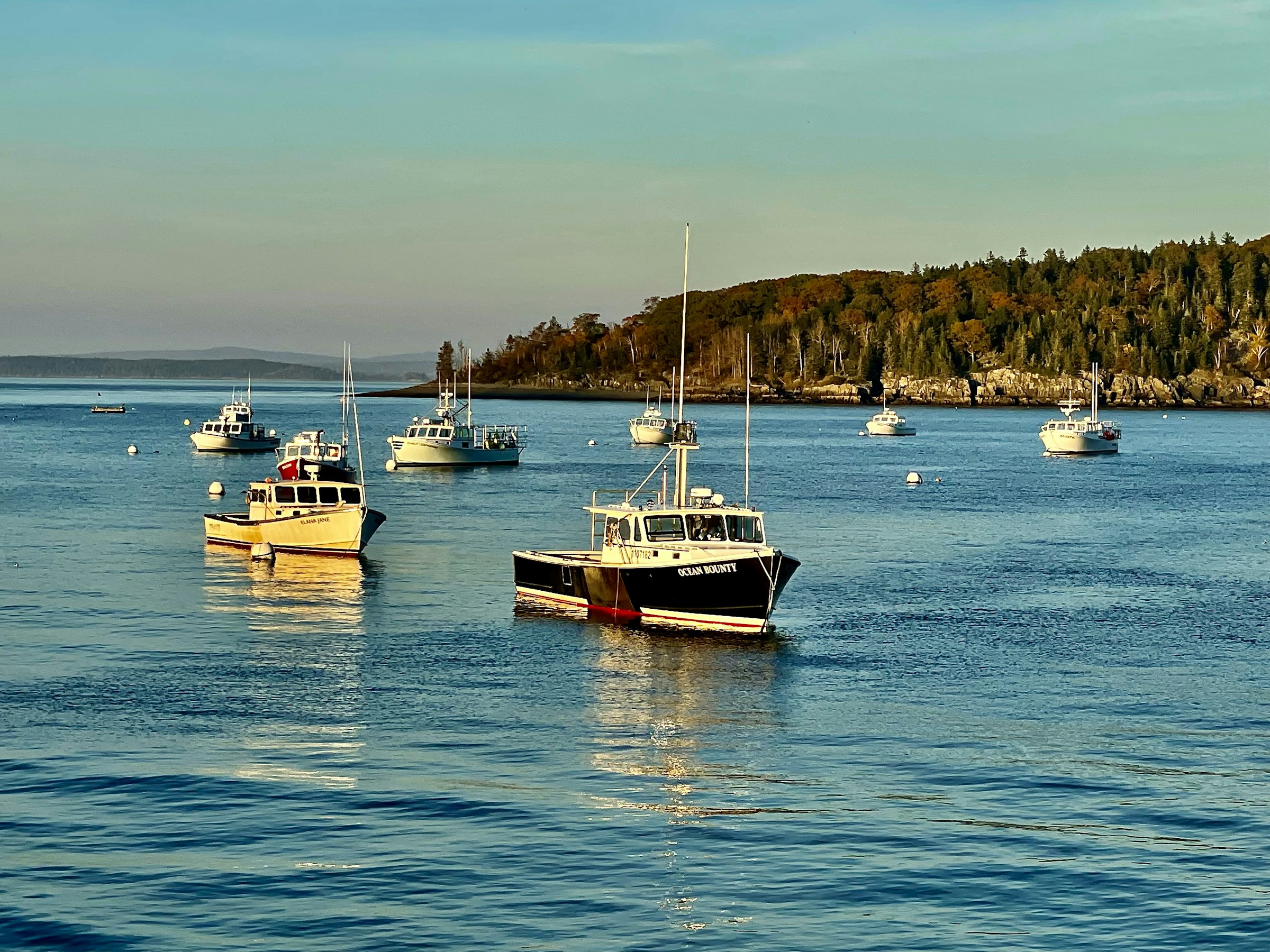 Boats moored in the harbor at Bar Harbor, Maine
