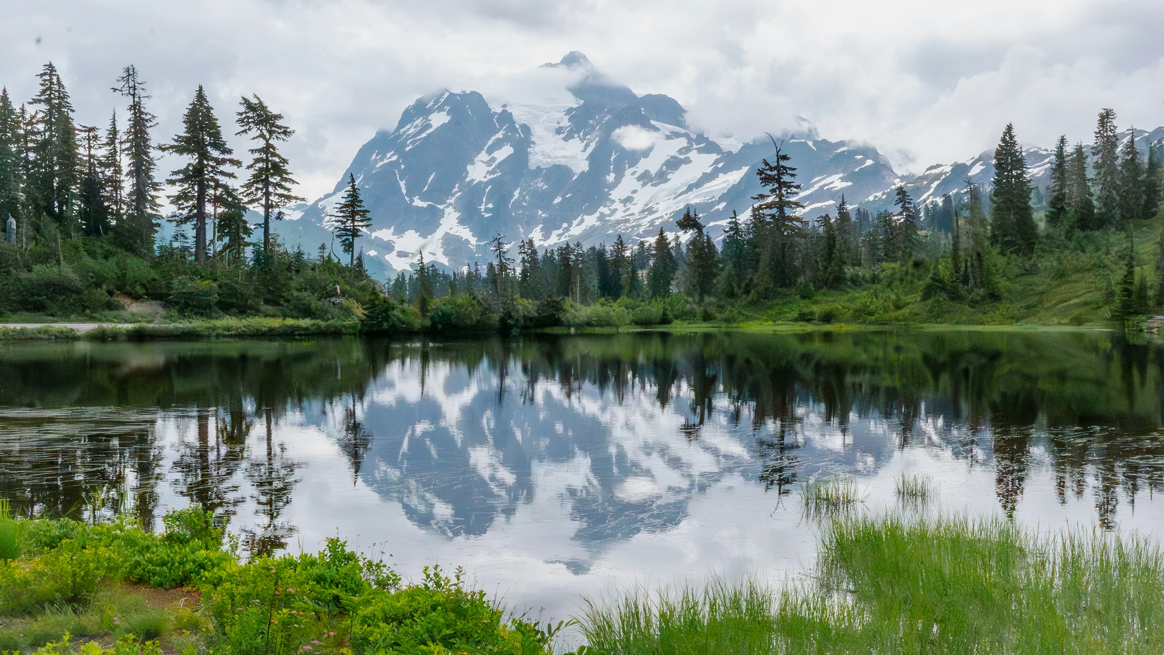 Snow-capped Washington mountains reflected in a still forest pond