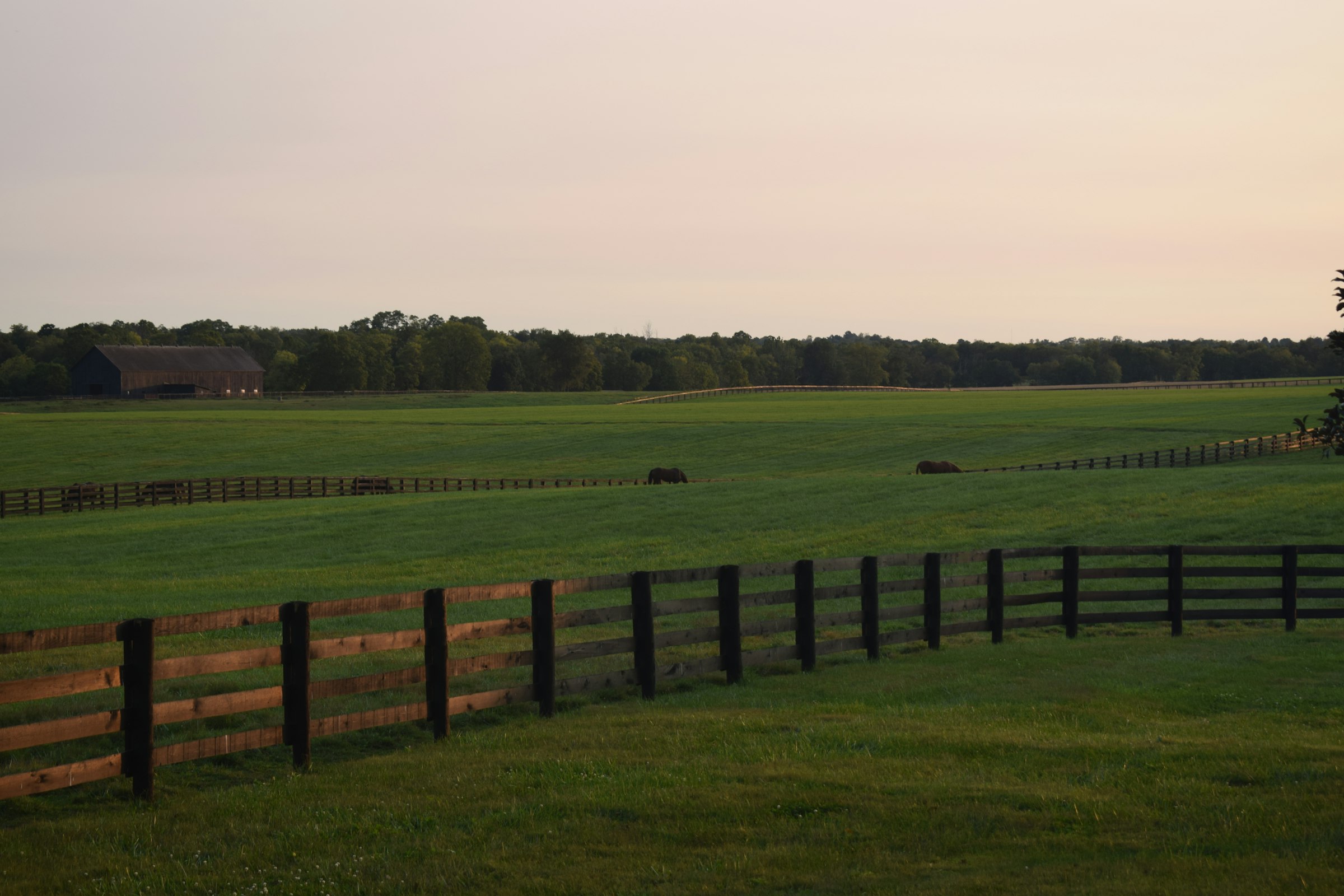 Horse farm with fence and barn in Lexington, Kentucky