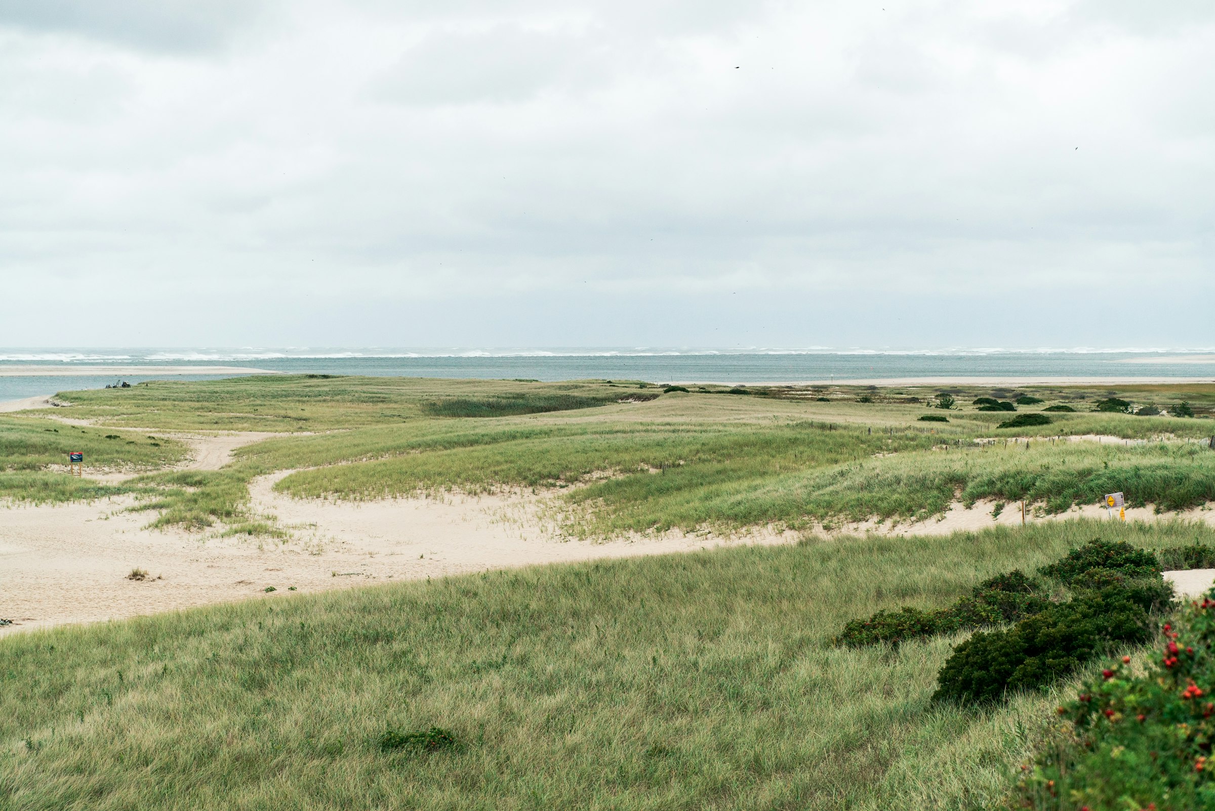 Cape Cod sand dunes and dune grass on a cloudy day, Massachusetts