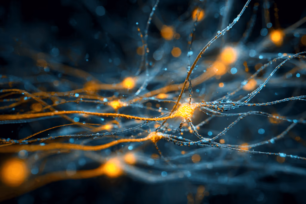 BTSP: The Discovery of Instantaneous Neuroplasticity