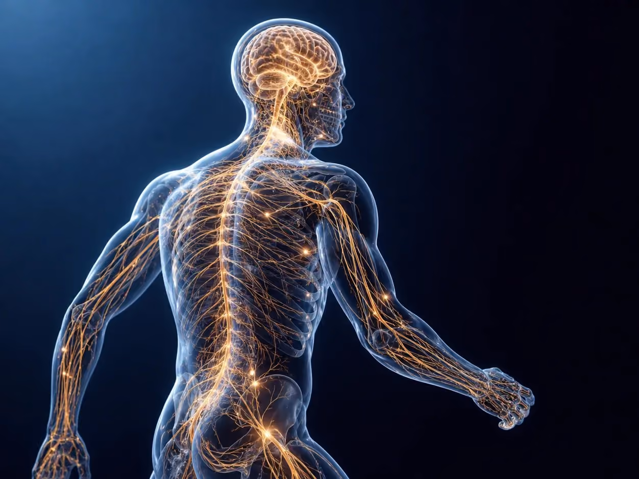 26SYNP | Fibromyalgia, Movement Dysfunction & the Case for Functional Neurorehabilitation | On-Demand with Dr. Nicole Quodling