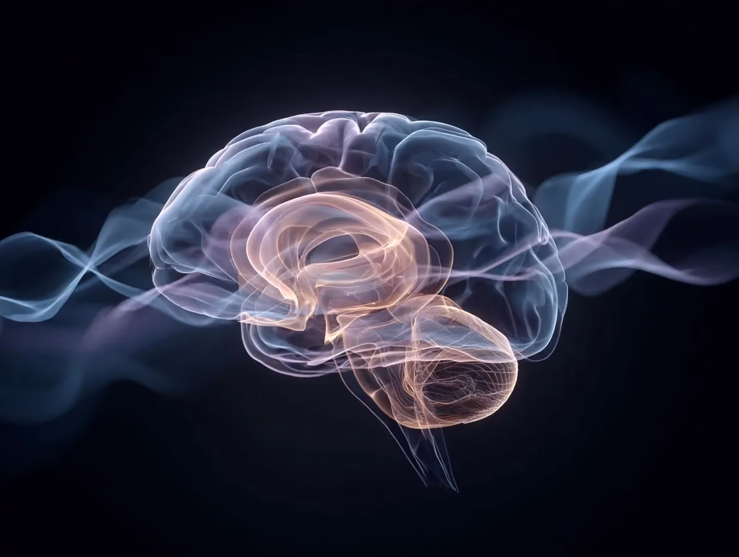 25SYNP | Balancing Perceptions: Bringing Reappraisal into Functional Neurology | On-Demand with Dr. Igor Dijkers