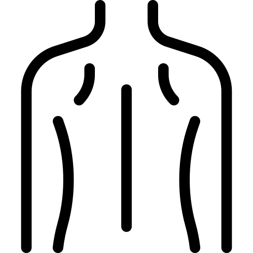 Upper and lower back treatment area icon