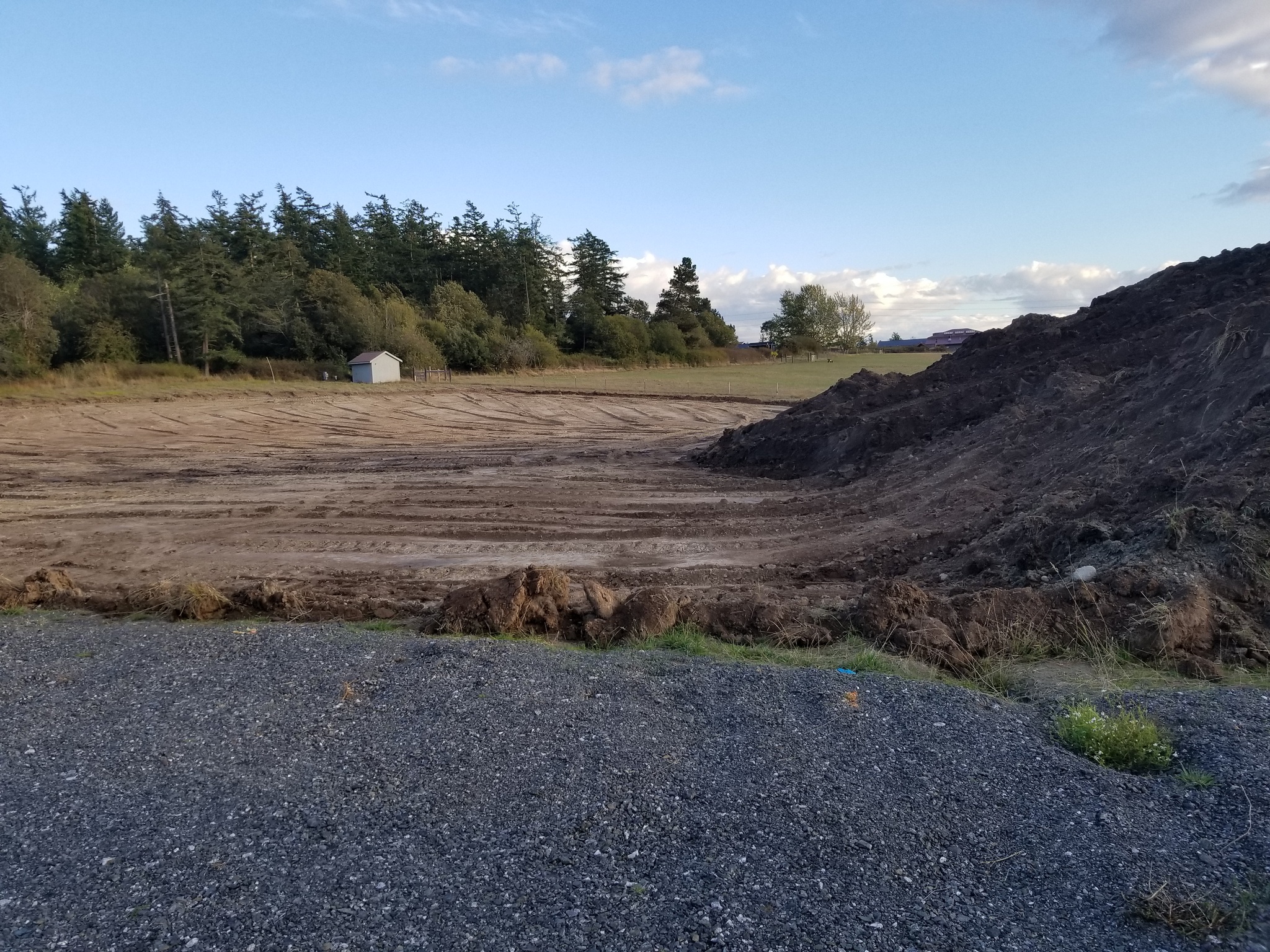Mountain of Dirt!