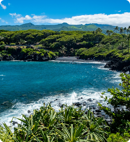 Maui builder contact