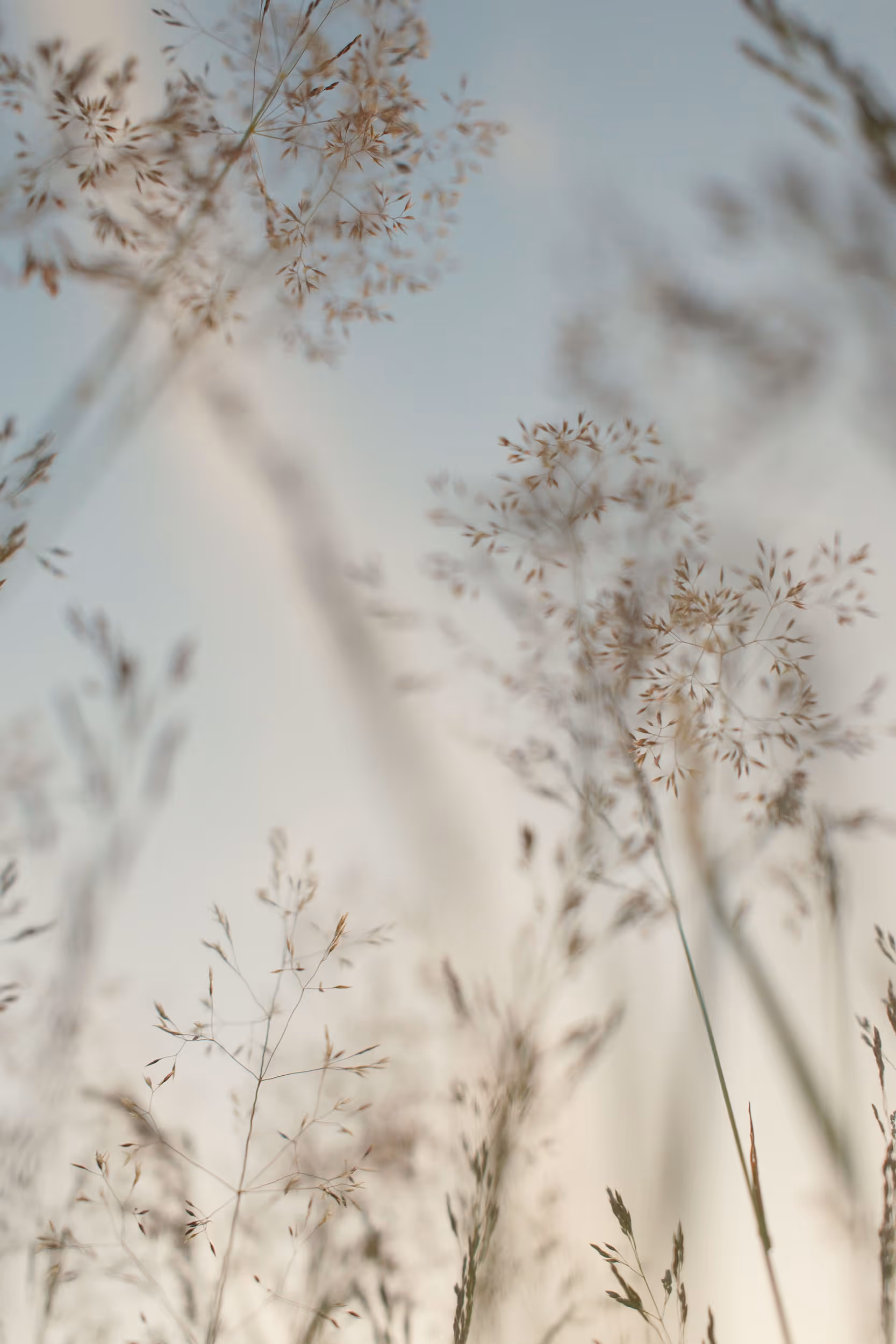 Calm meditation sanctuary with minimal furnishings and serene atmosphere.