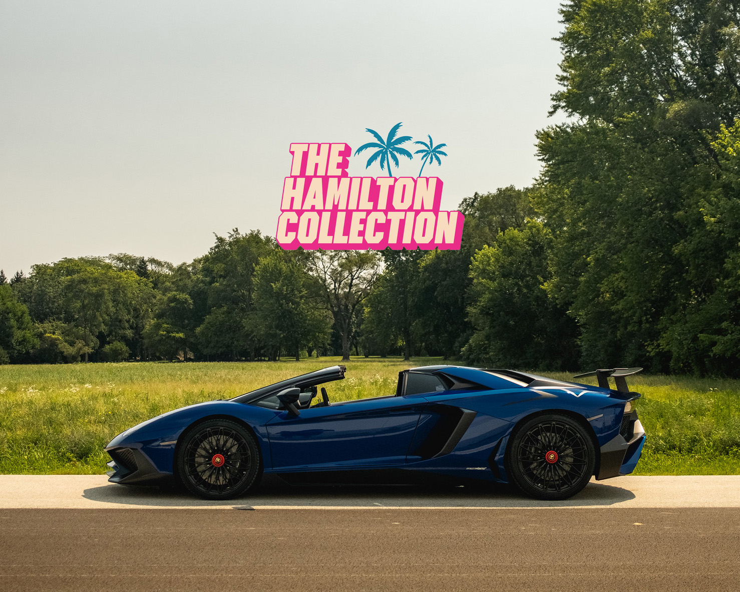The Hamilton Collection