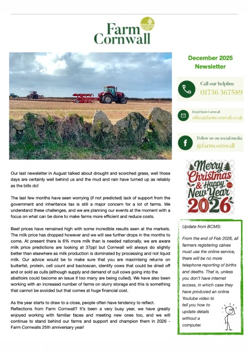 December 2025 Newsletter