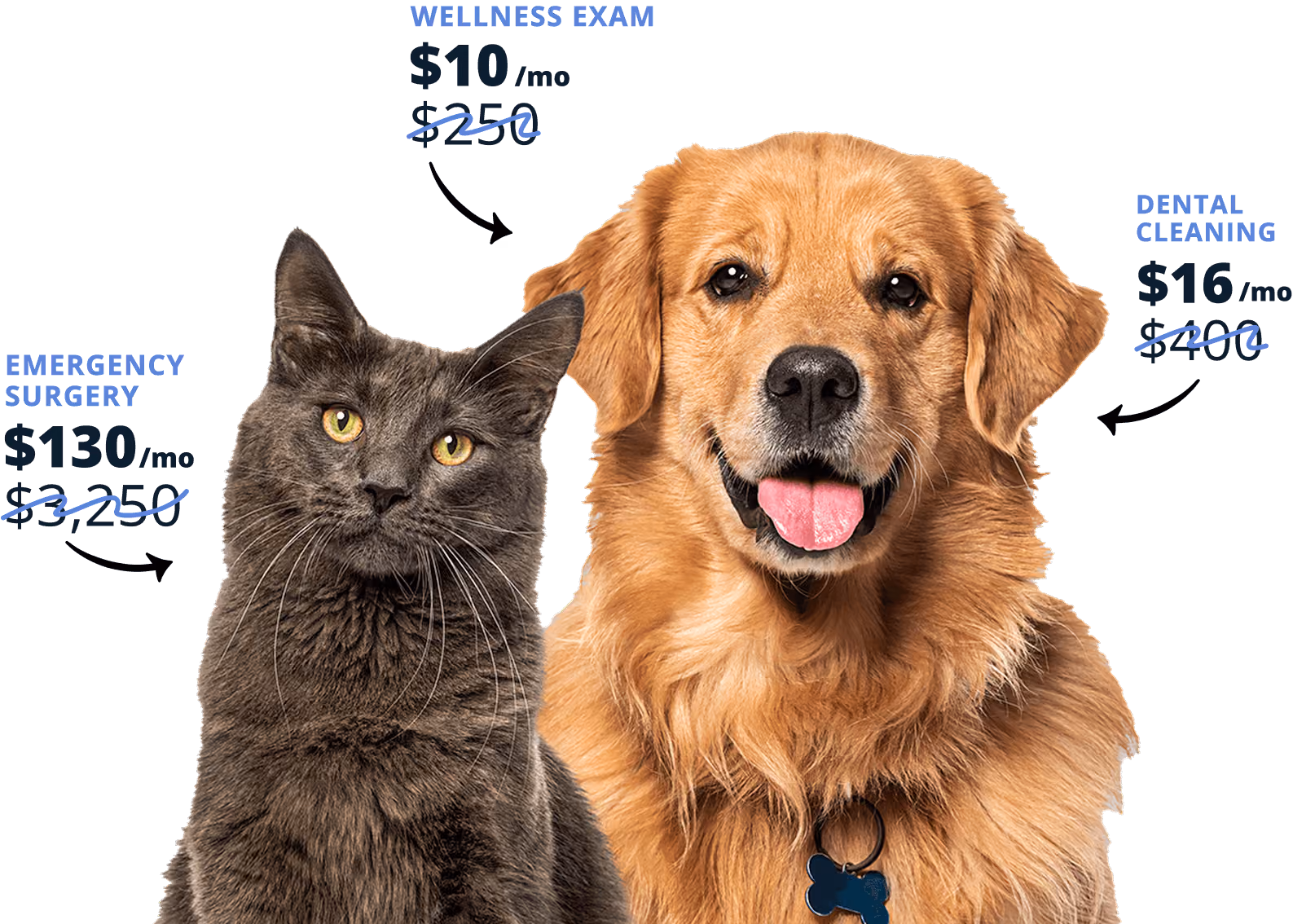 Gray cat and golden retriever with text showing discounted pet care prices: wellness exam $10/mo, emergency surgery $130/mo, dental cleaning $16/mo.