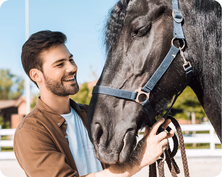 Smiling man gently holding the reins of a black horse wearing a blue halter outdoors.