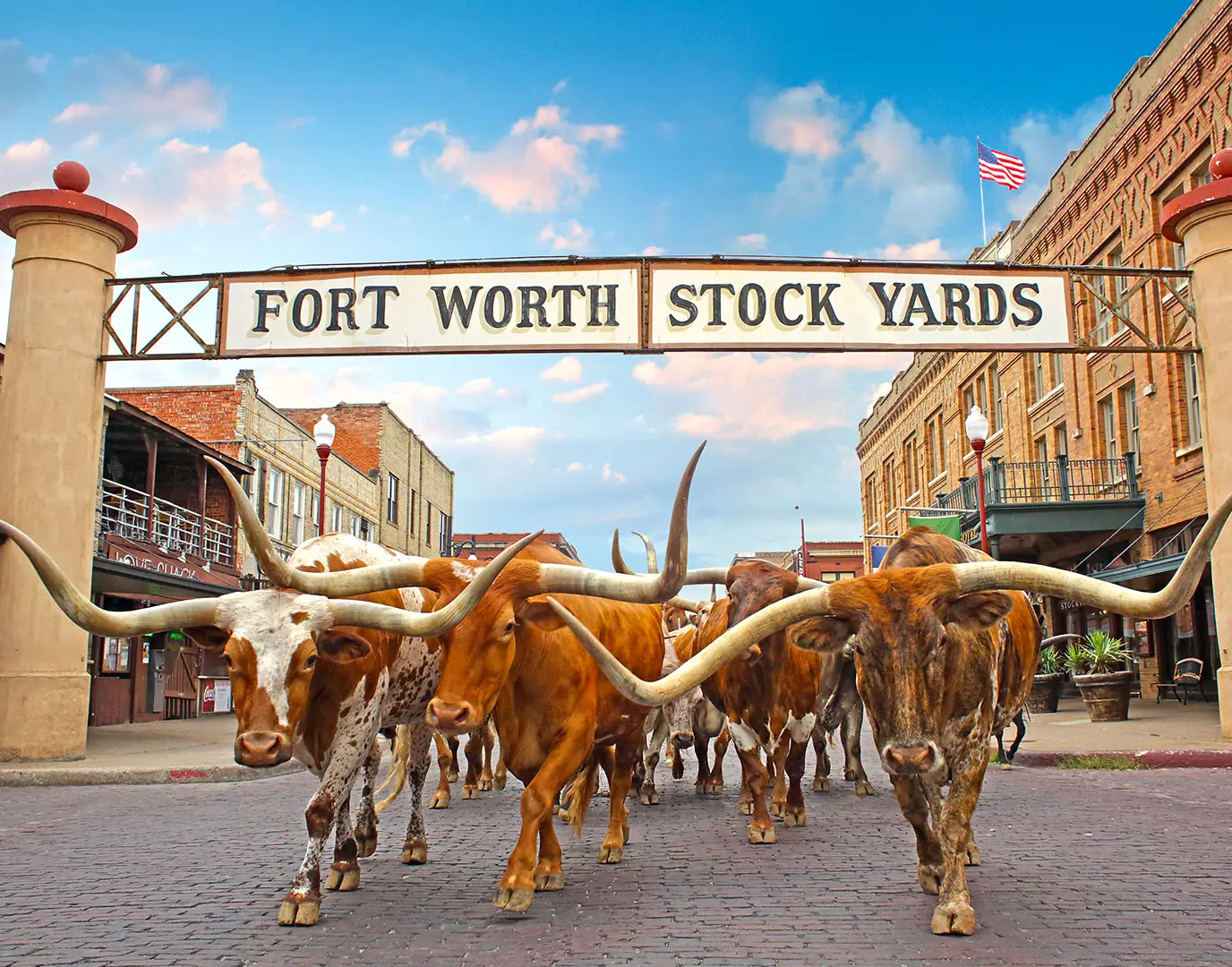How Azira and Visit Fort Worth Increased Destination Awareness and Drove 8K+ Visits During a Competitive Travel Window