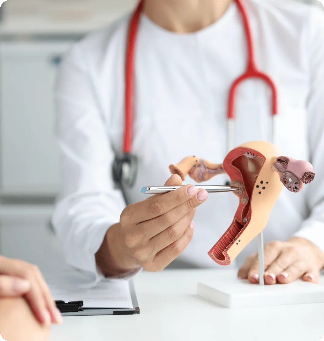 Women’s Urologic Health