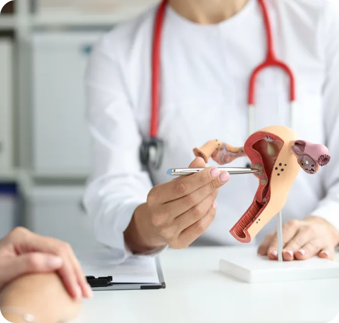 Women’s Urologic Health