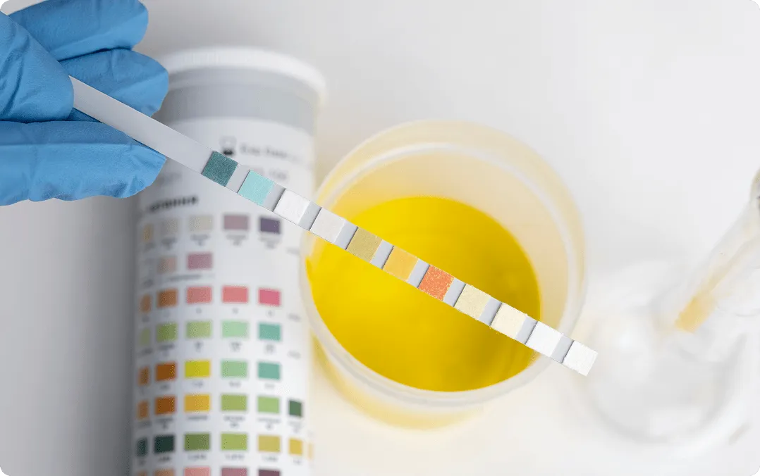 Comprehensive evaluation for recurrent infections