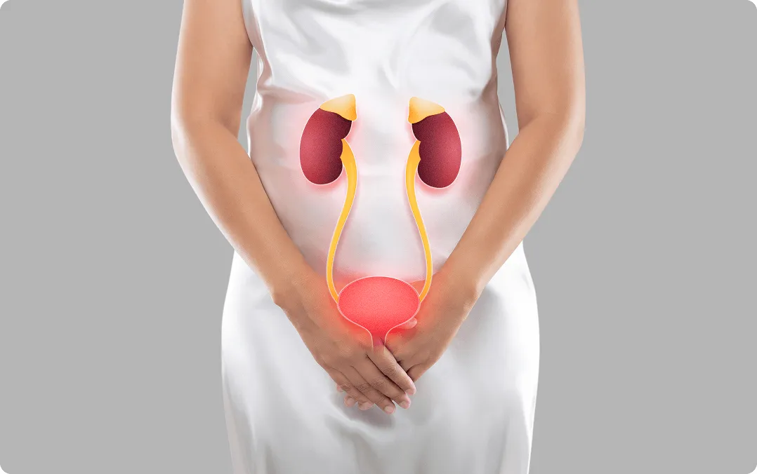 Expertise in women’s urinary health