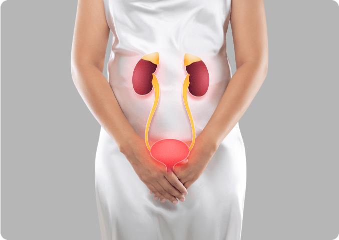 Expertise in women’s urinary health