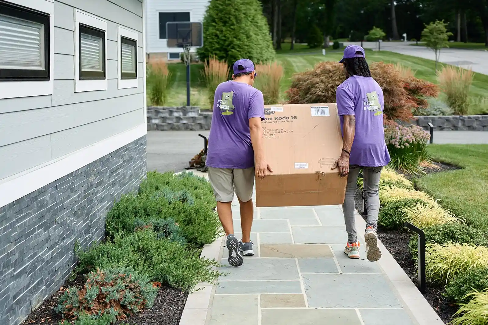 our professional team image