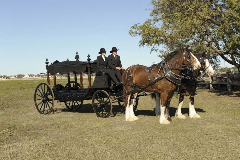 Horse-drawn hearse with two horses and driver.
