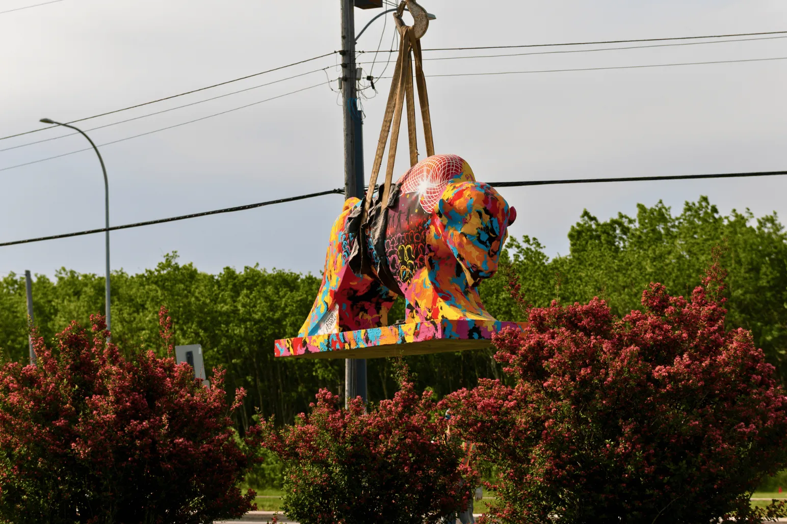 Able Crane Services operator in crane cab during bison sculpture installation