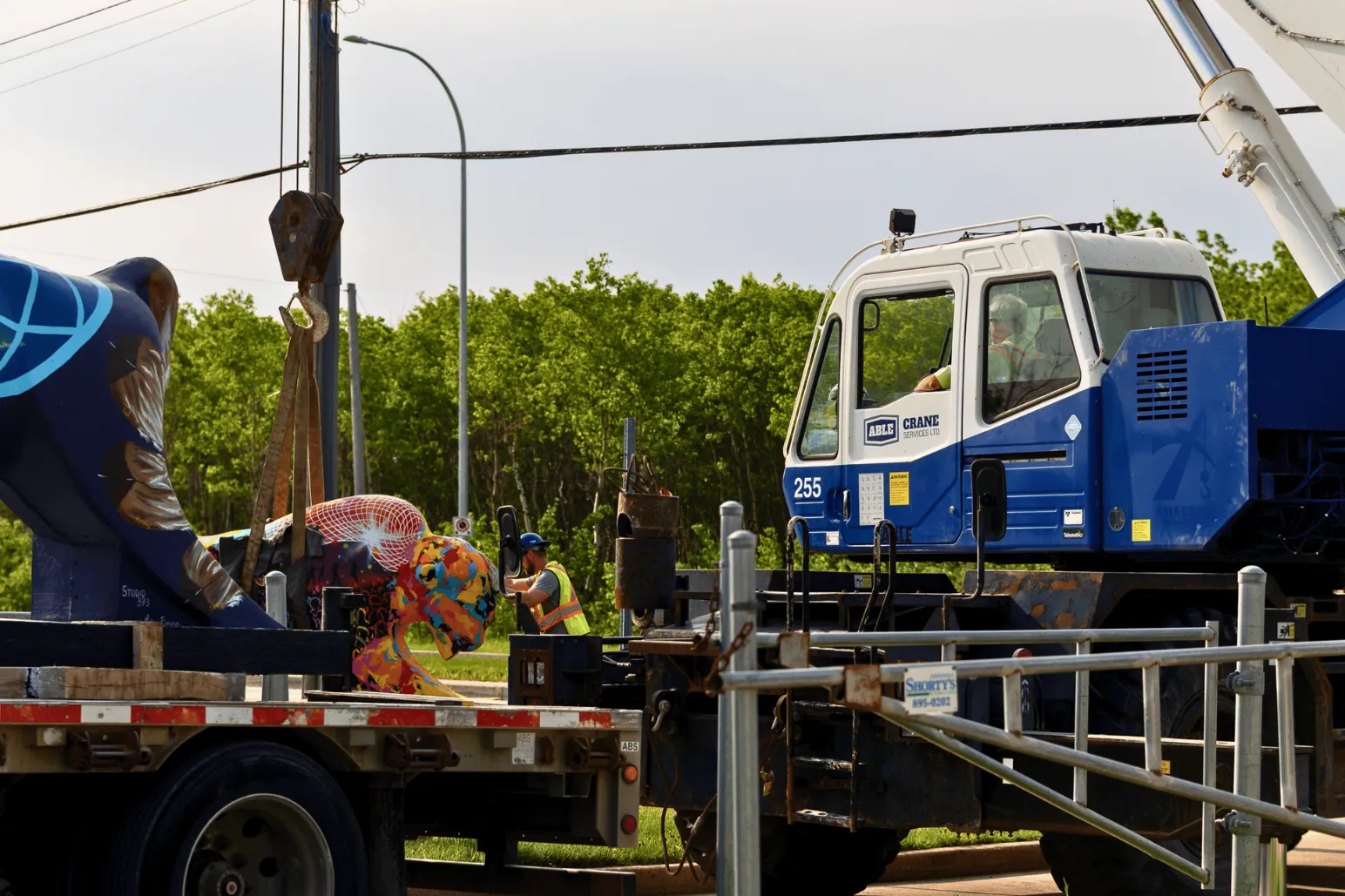 Able Crane Services flatbed truck transporting colorful bison sculptures for installation