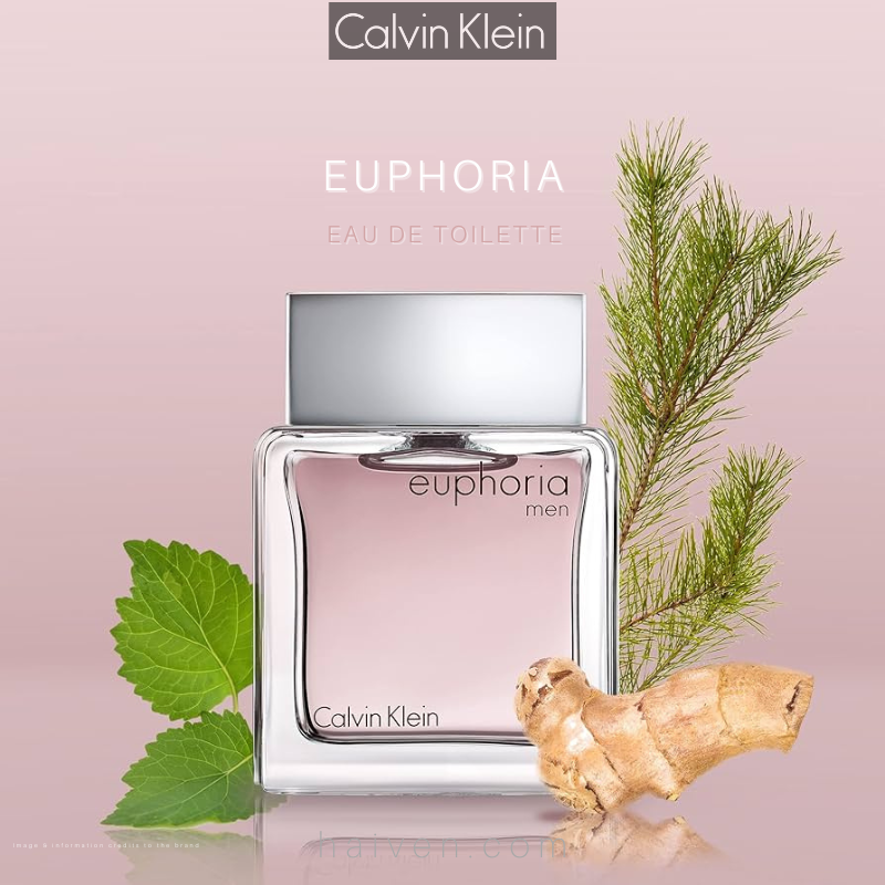 Calvin Klein Euphoria Men Eau de Toilette 100ml