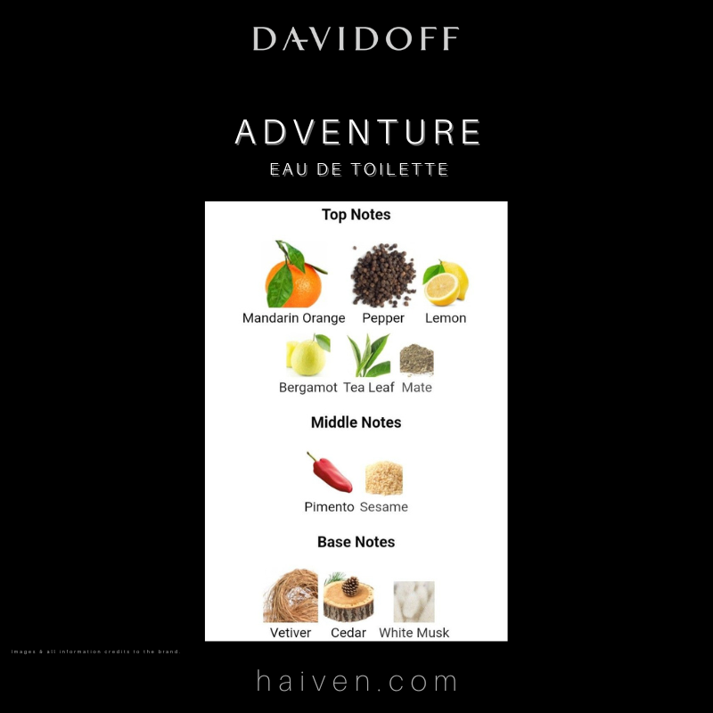 DAVIDOFF Adventure Eau de Toilette 100ml
