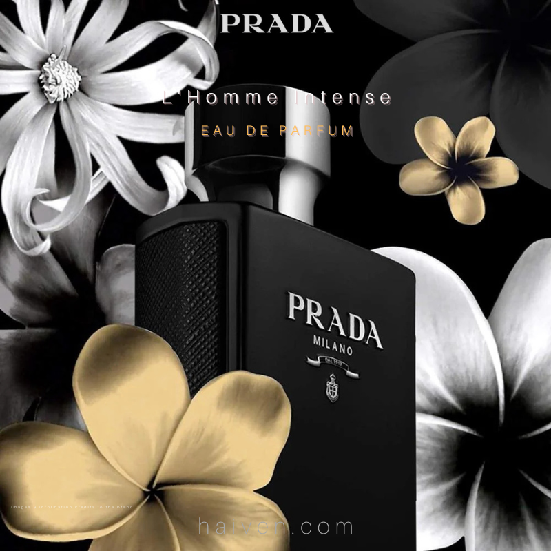PRADA L’homme Intense M EDP 100ML