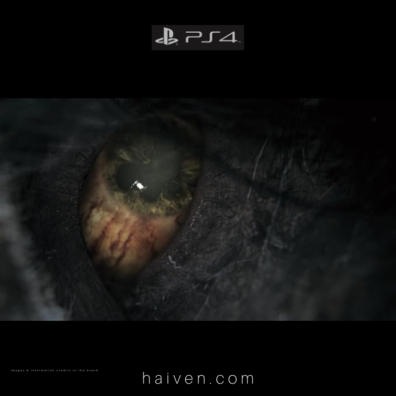 Bloodborne Game of the Year Edition-PS4