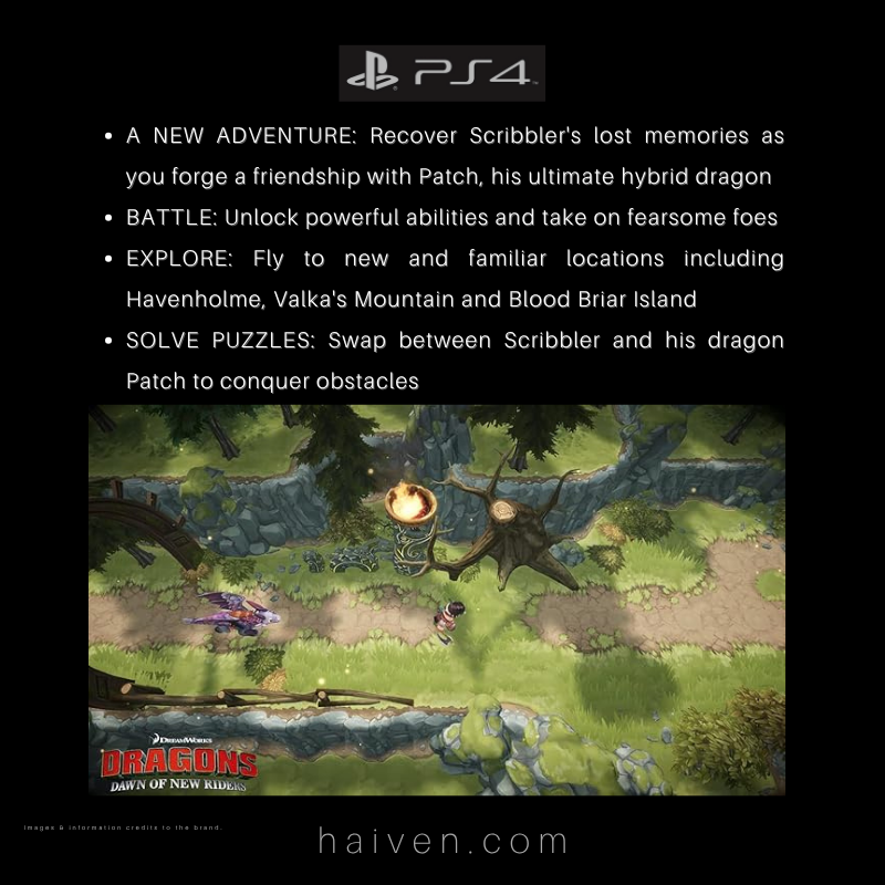 Dragons: Dawn of New Riders – PS4