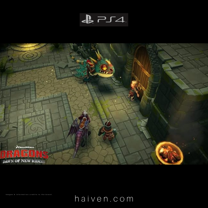 Dragons: Dawn of New Riders – PS4