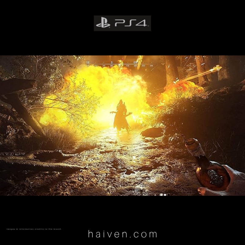 Hunt: Showdown – PS4