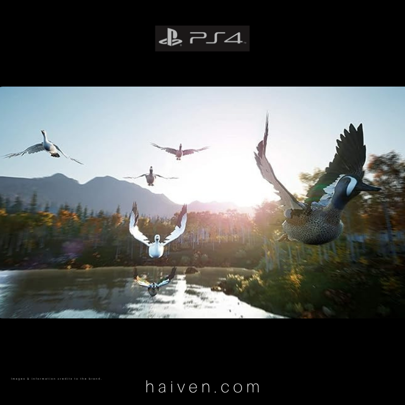 Hunting Simulator 2 – PS4