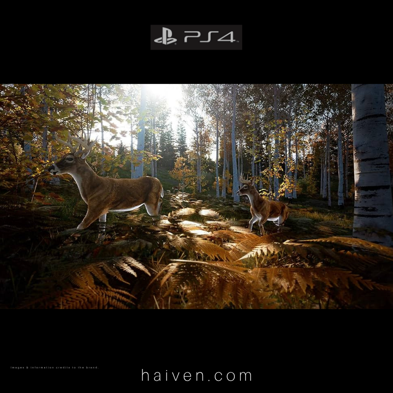 Hunting Simulator 2 – PS4