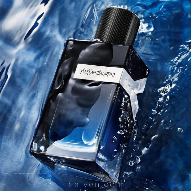 YSL Y M EDP 100ML