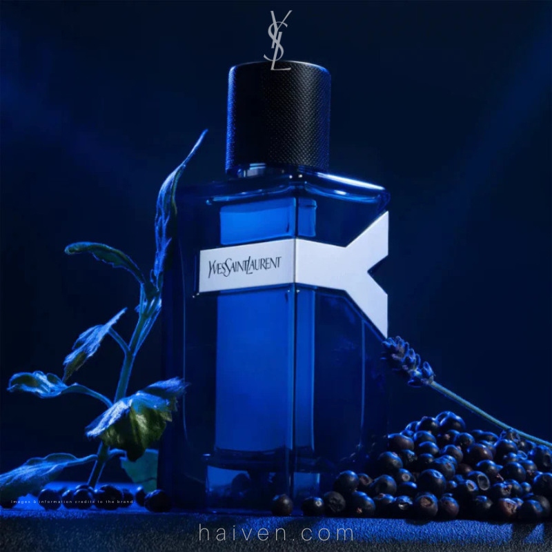 YSL Y M EDP 100ML