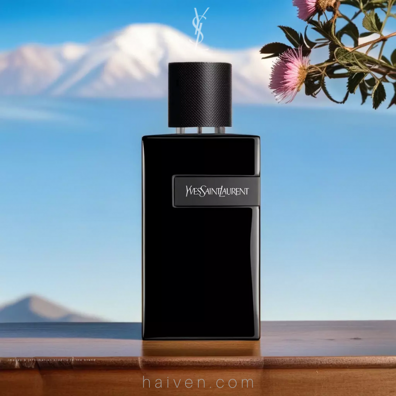 YSL Y Le Parfum M Parfum 100ML