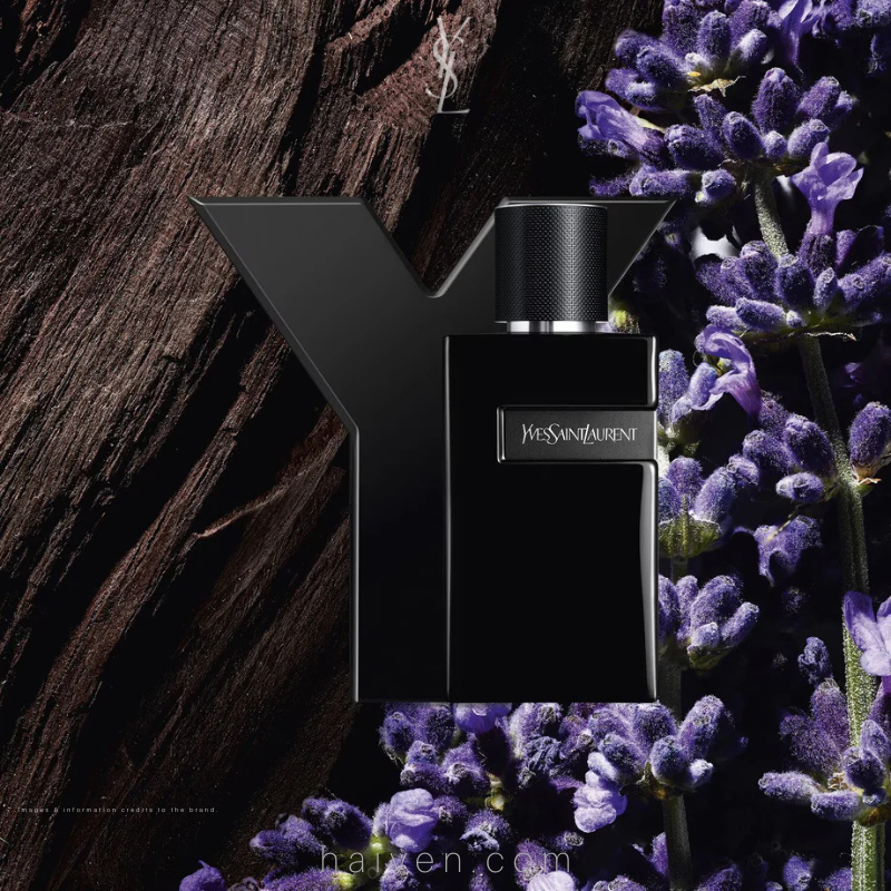 YSL Y Le Parfum M Parfum 100ML